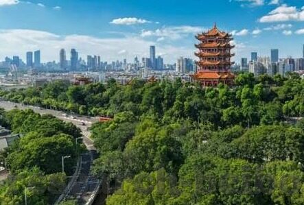 mk体育登录-MK体育登录，开启智能体育的新纪元